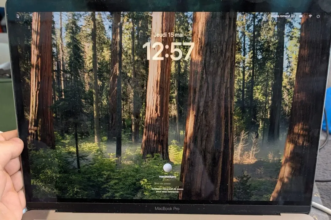 Mac allumé avec batterie neuve détectée
